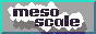 Mesoscale